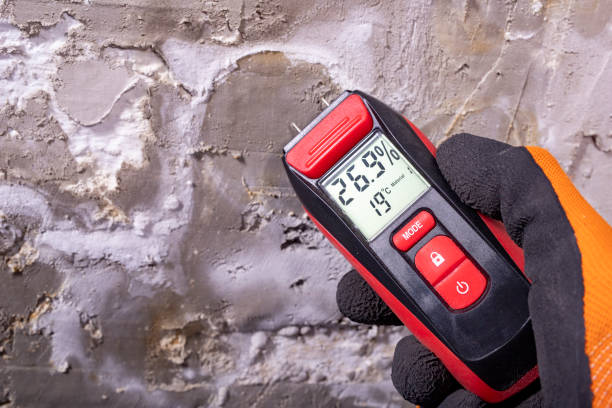 Best Toxic Mold Removal  in Prairie Heights, WA