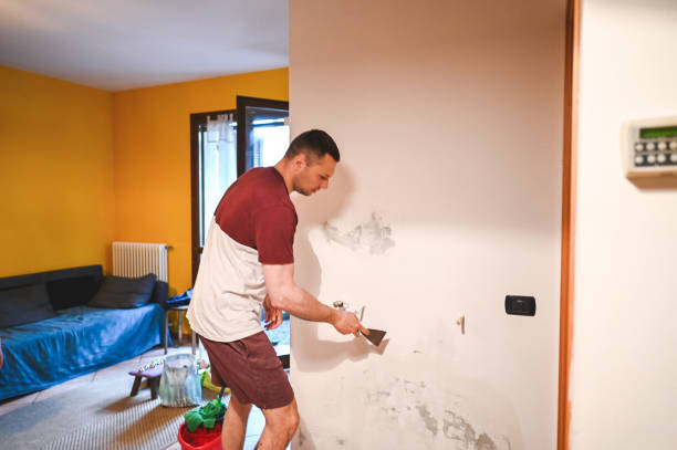 Best Office Mold Removal Services  in Prairie Heights, WA