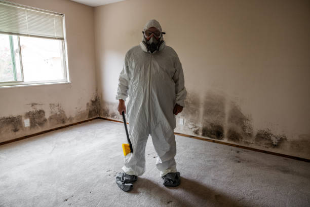 Certified Mold Removal in Prairie Heights, WA